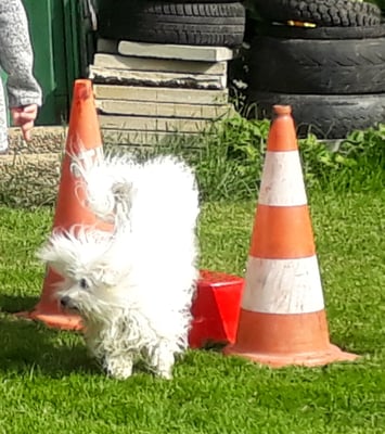 Mit wehenden Haaren vom Podest abe..