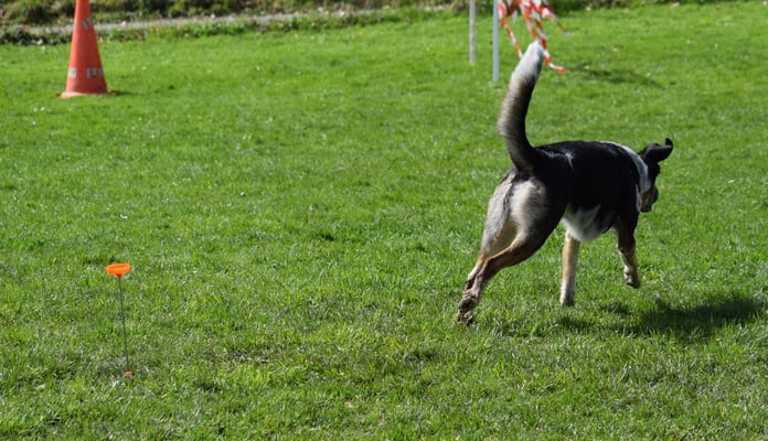 ... und schnäll wieder zrugg