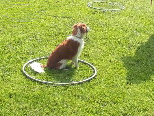 D Kreismitti troffe!