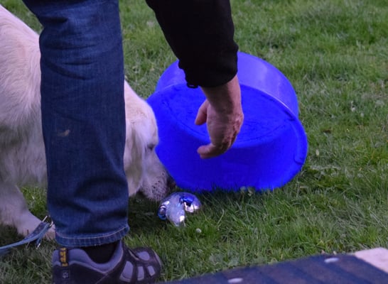 Gschänkli sueche...