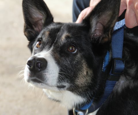 Hä!!! Bin voll da!!!