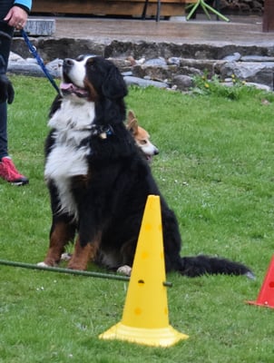 Hmmm.... Immer das warte...