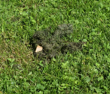 Do, me gsehts jo sogar es bitzeli...