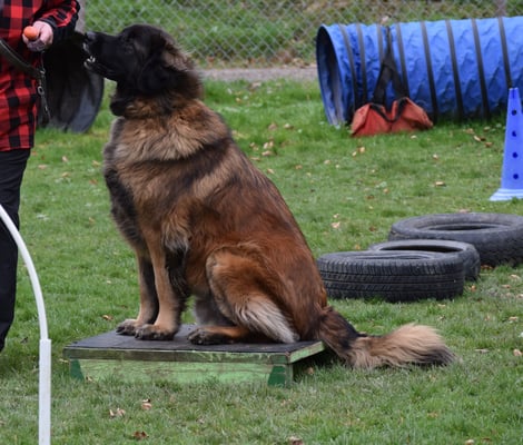 Warte, bis es witer goht