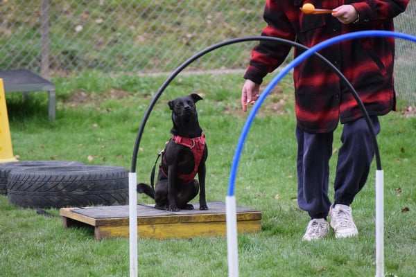 Hmmm, was hebt denn die so in dä Händ?