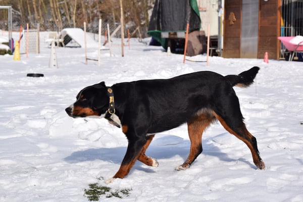 Gmüetlich, nur nid hetze