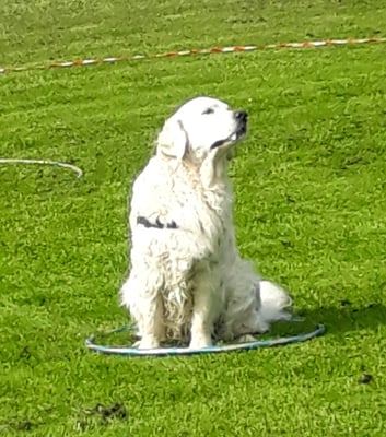 Was wöttsch vo mir?!?!?