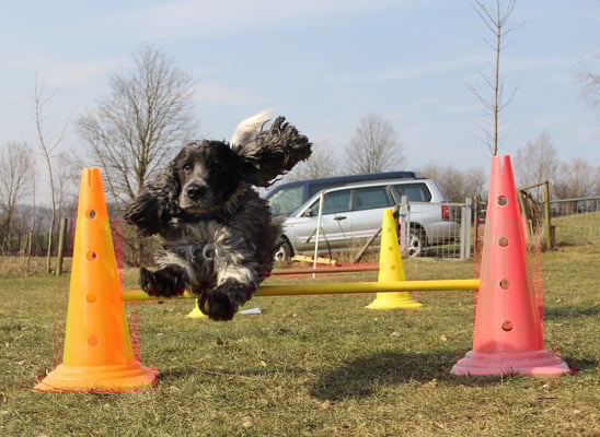 Ui, ufpasse, dass i nid grad in d Kamera spring