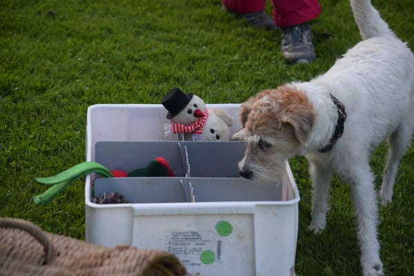 Mol churz checke, wo mi Gegästand isch...