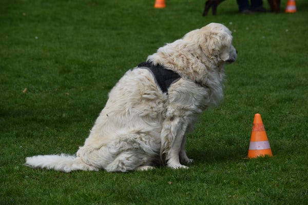 Klar!! Mache mer mit links..