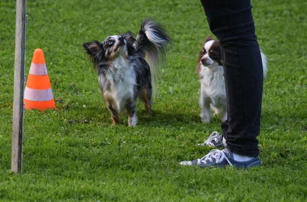 Mir si chli, aber voll drbi!