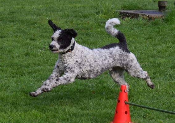 Huiiii, springe!!! Das isch sooo toll!!!