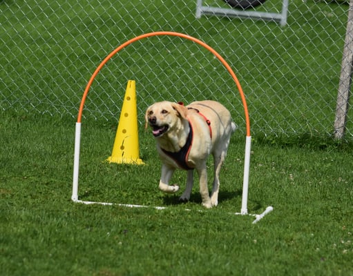 Eso isch das gmeint!