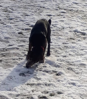 Au er findet s mega spannend am Bode...