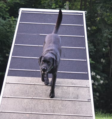 Cool, do äne wieder abe...