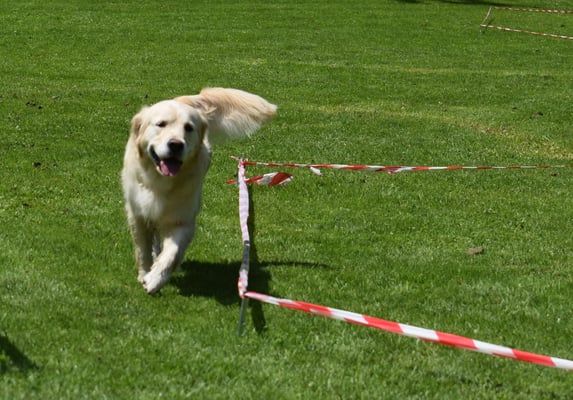 ...das macht no meh Spass!