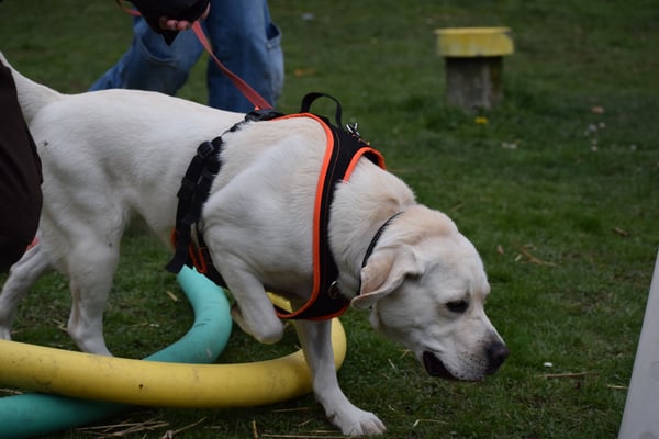 Schwimmnudle??? Was söll denn das?