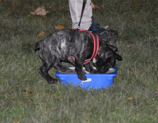 Mhhhh, das schmeckt irgendwie fein do drinn