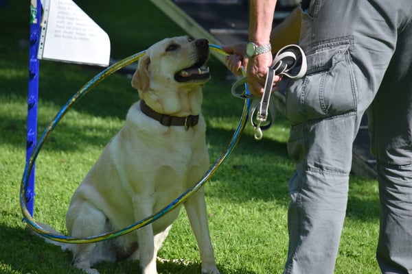 Mach nur, das stört mi gaaaar nid, dä Reife über mim Chopf