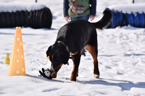 Waaas? Daaaas söll i ins Muul neh????