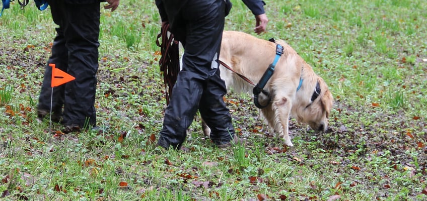 Aha, also DAS!!! Cool!