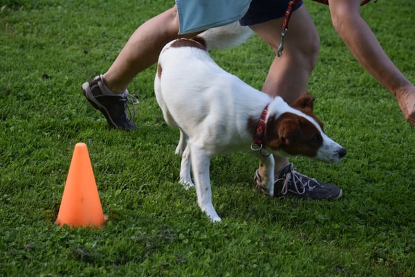 Zick-Zack zum Erschtä...