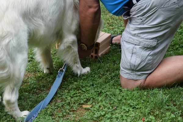 Jo, hilf mehr! I weiss nid so genau, wie i das mache söll