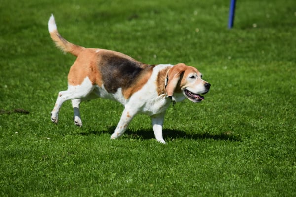 ...und schnäll zrugg...