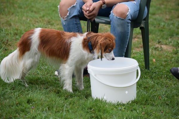 Gugus - do isch jo gar nüd drinn?!?