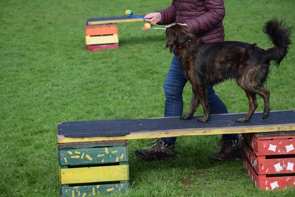 Was balanciersch du do eigentlich?