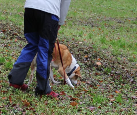 Ice ganz vorsichtig, aber sehr konzentriert