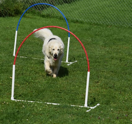 Also, das isch für mich überhaupt kei Problem!