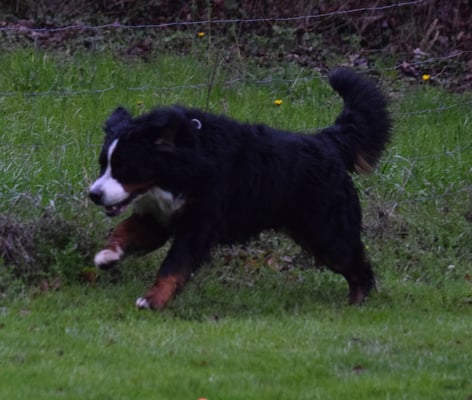 I bi soooooo schnäll!!!