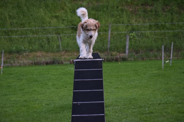 wies, denn witergoht...