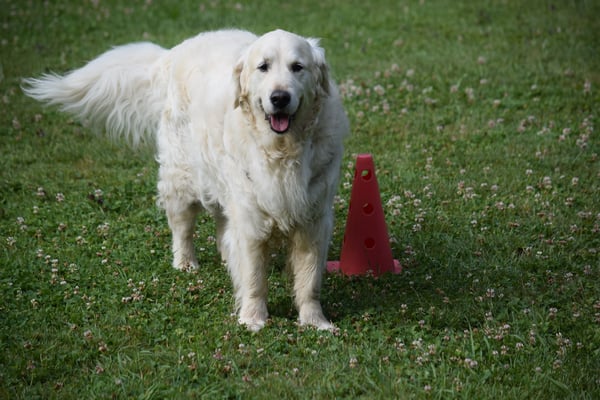 Also, abrüefe mit Stoppe...