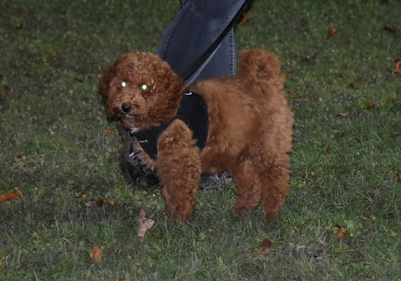 Jetzt ab in die warmi Stube