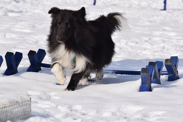 I mach das au gaaaanz elegant