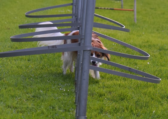 Slalom - eigentlich chönnt is scho mol ohni Böge versueche, die sie jo so hoch. Aber schaff ich das ächt ohni???