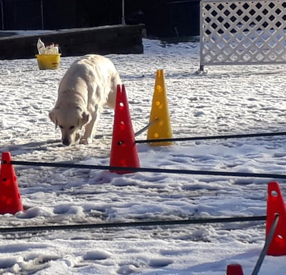 Es Labyrinth!! Hiiiiilfe, wo isch denn do dr Usgang?!?