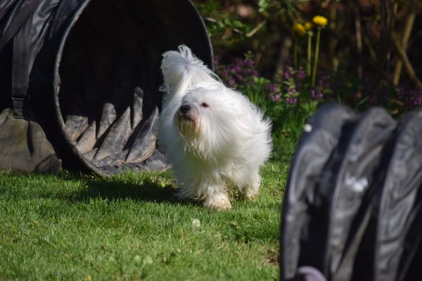 D Etoile liebt d Tunnel