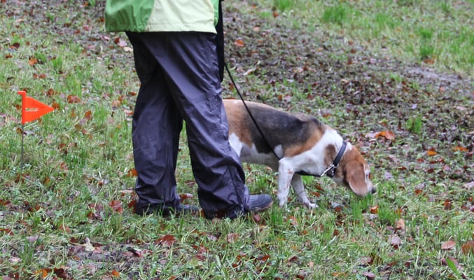 Chiara macht das ganz toll..