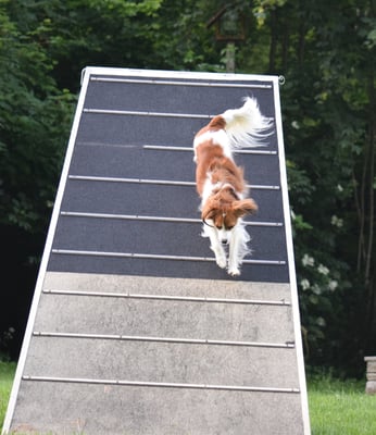 Isch doch kei Problem!