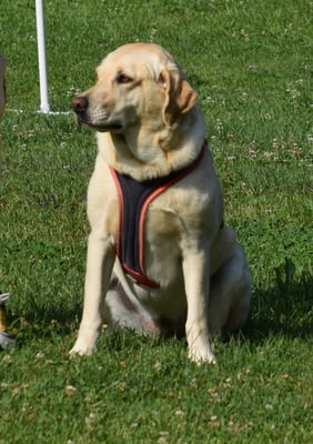 Sommerferiecup??? Was isch ächt das wieder???