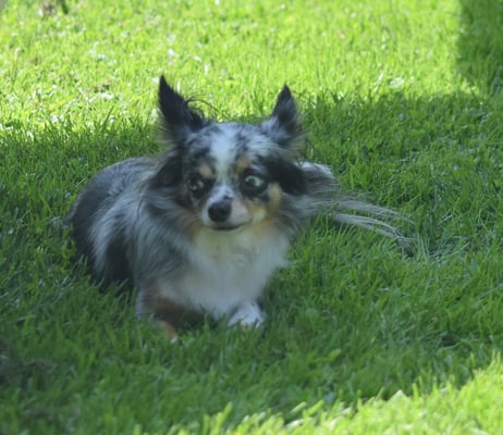 Aha, die chline Hanna