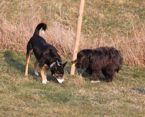 Mol luege, wär do süscht no ume isch hüt