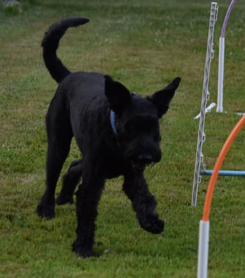 Upps, bi glaub bitz vo dr Linie acho...