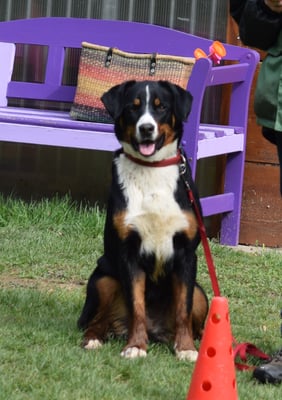 Chum i ächt au gli dra? Das gseht cool us, was mer müesse mache