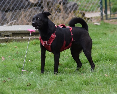 Voran gfunde! Dä Blick!!! :-))