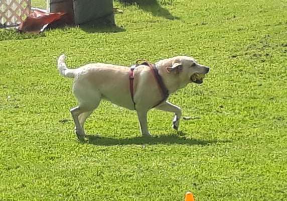 Verstande!!! Das mach i so!