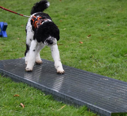 Uiii, was isch denn das?